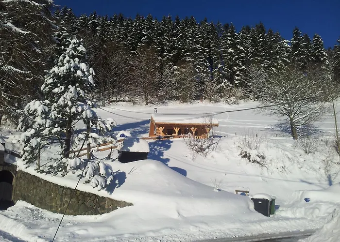 Der Nesselbacher شاليه